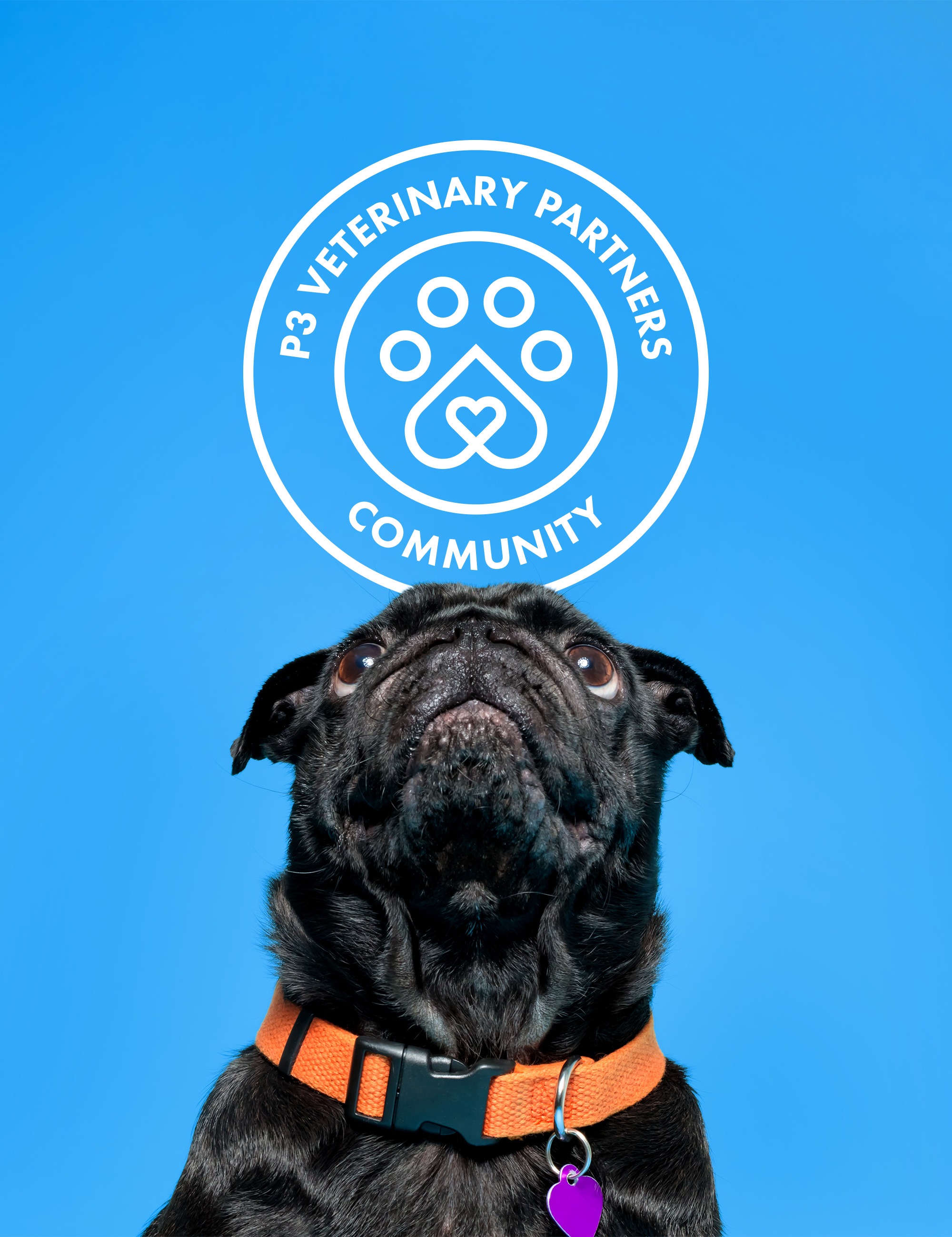 P3, Brands We've Built